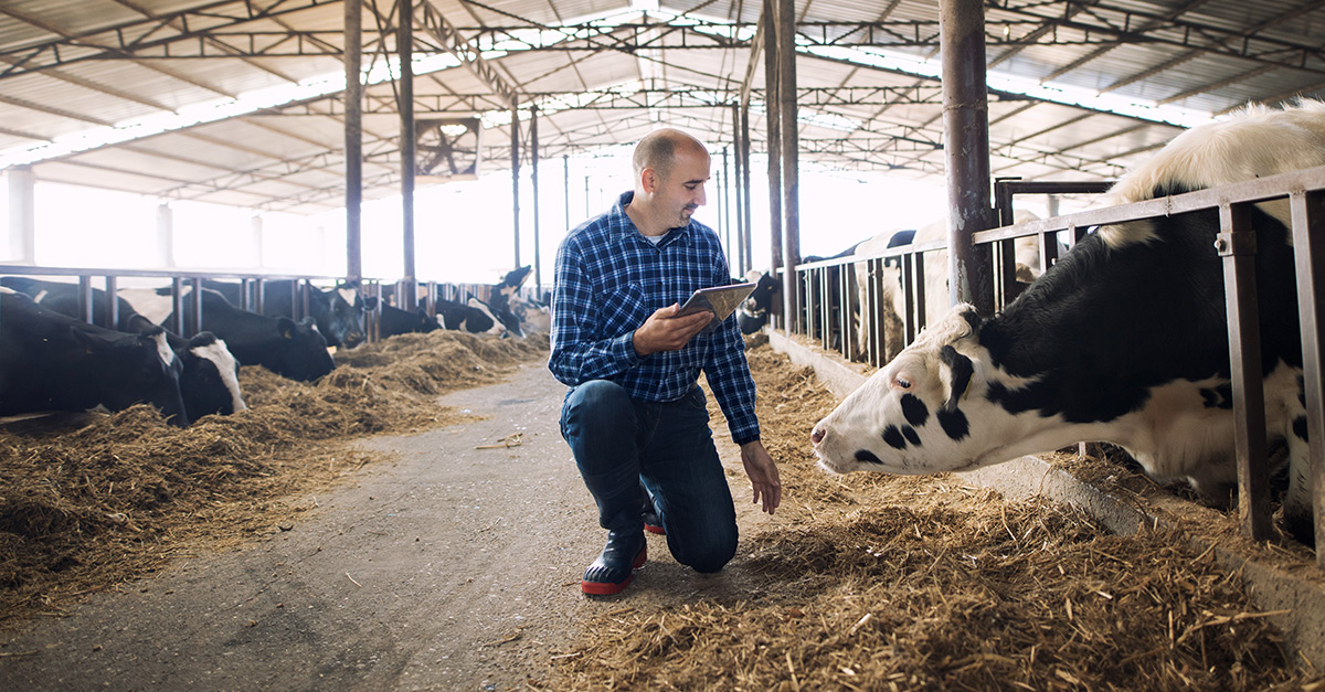 Why carbon is so important in agriculture | Barclays Eagle Labs