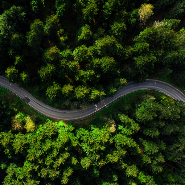 Road seen from above passing through a forest